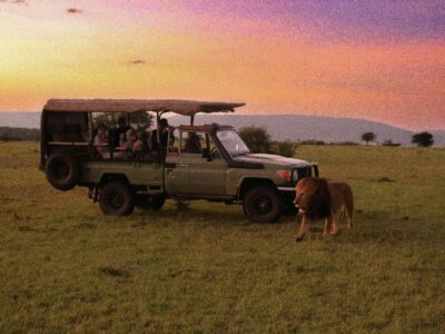 meg-von-haartman-Q3YmoeoQ9g0-unsplash Safari in Kenya - lion roaming in Masai Mara wildlife quiz