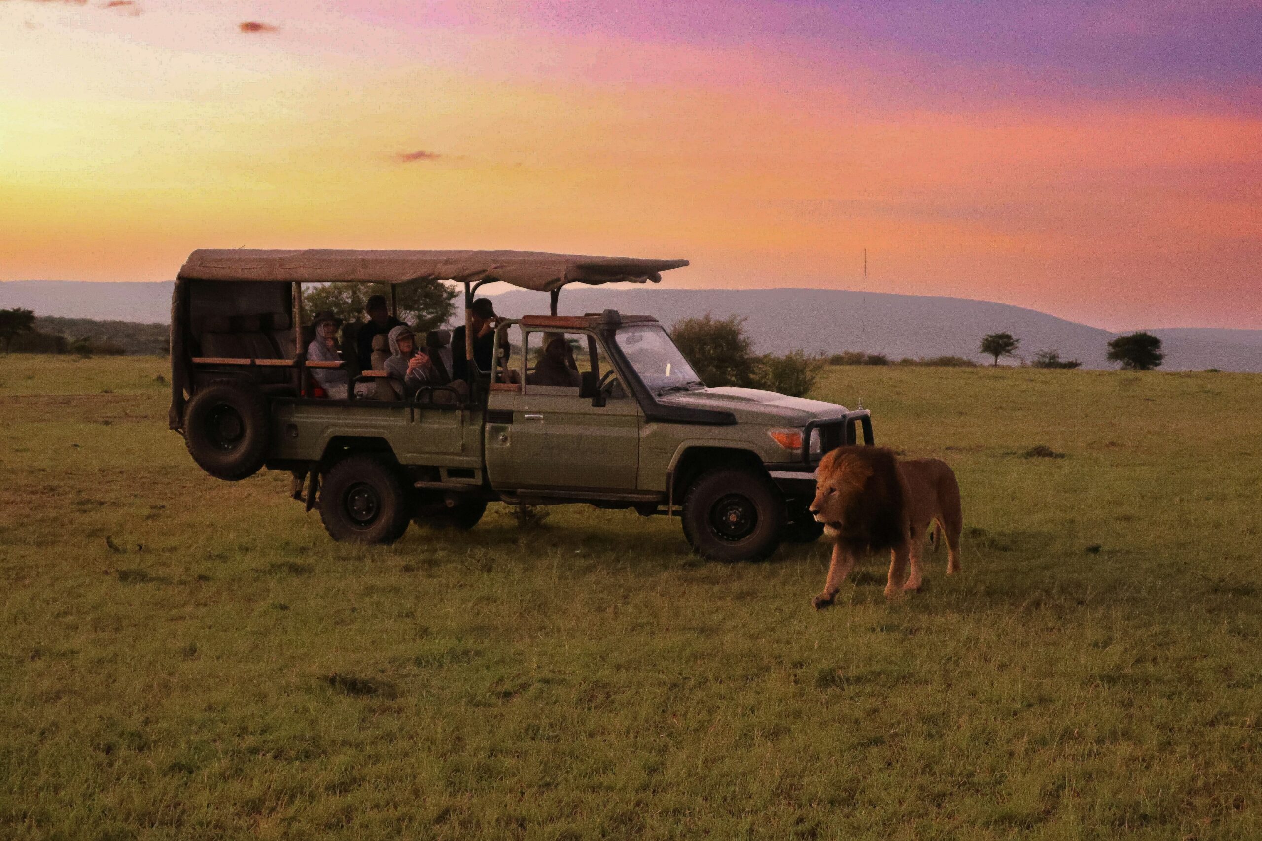 Kenya Safari Wildlife Quiz: Test Your Bush Smarts!