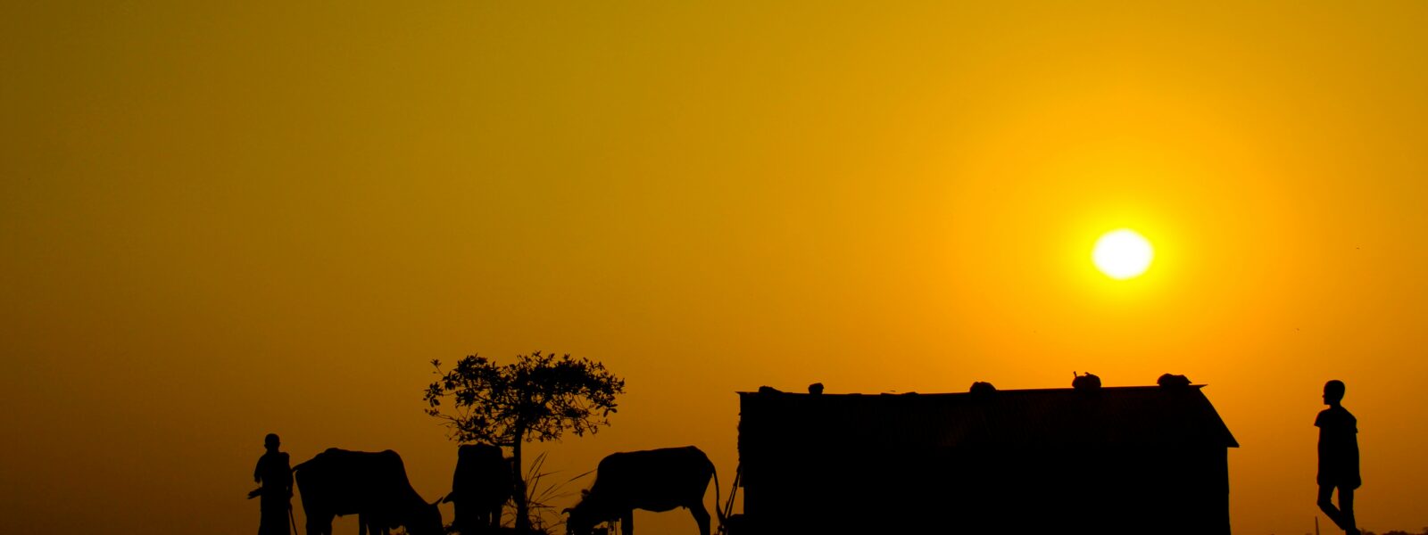 Safari in Kenya Tanzania Masai Mara Serengeti