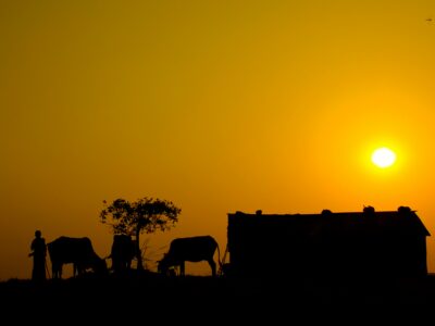 takrim-ahmed-Jkrj4QmiCkc-unsplash Safari in Kenya Tanzania Masai Mara Serengeti