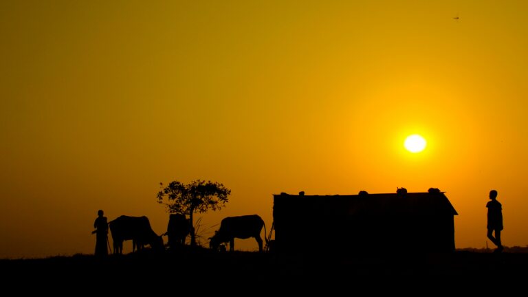 Serengeti Vs Masai Mara: Which is Better for Safari?