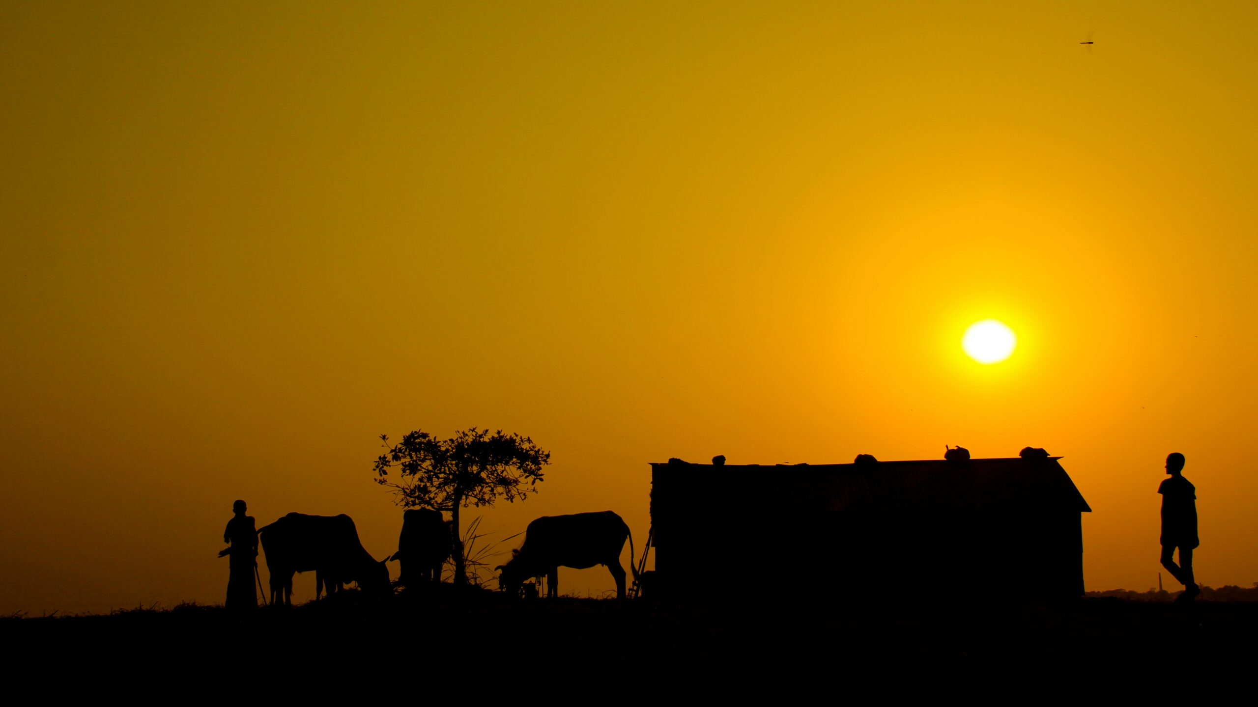Serengeti Vs Masai Mara: Which is Better for Safari?
