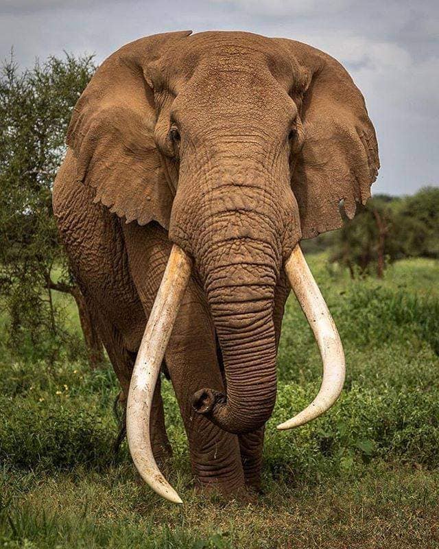 Marsabit National Park