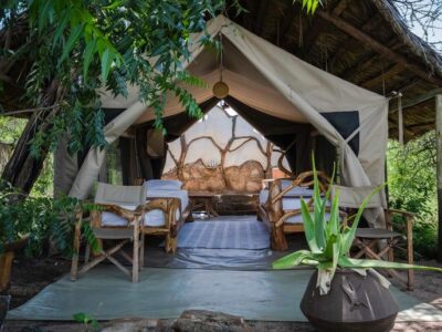 eco friendly travel camp - lion cave samburu