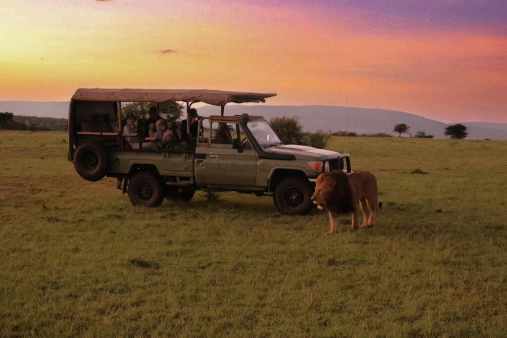 Kenya Safari Costs: Budgeting Tips and Hidden Fees to Avoid
