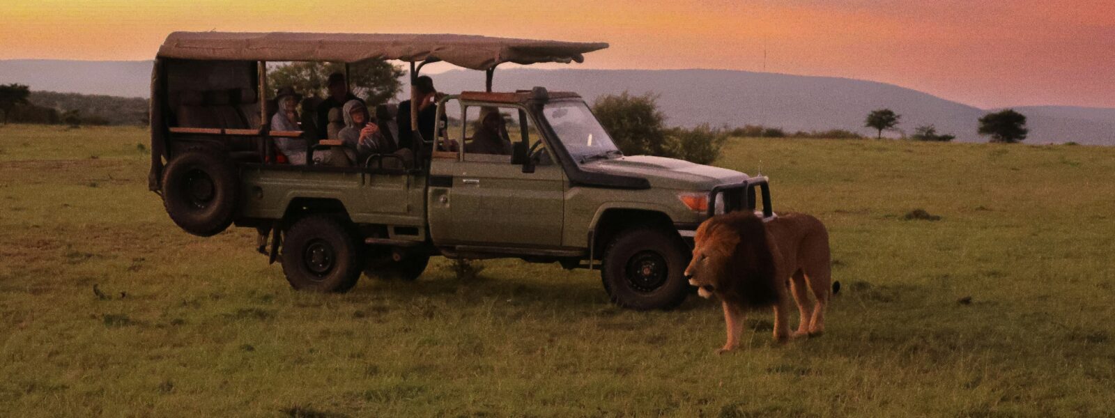 Budget Kenya safari in Masai Mara with lions and safari jeep