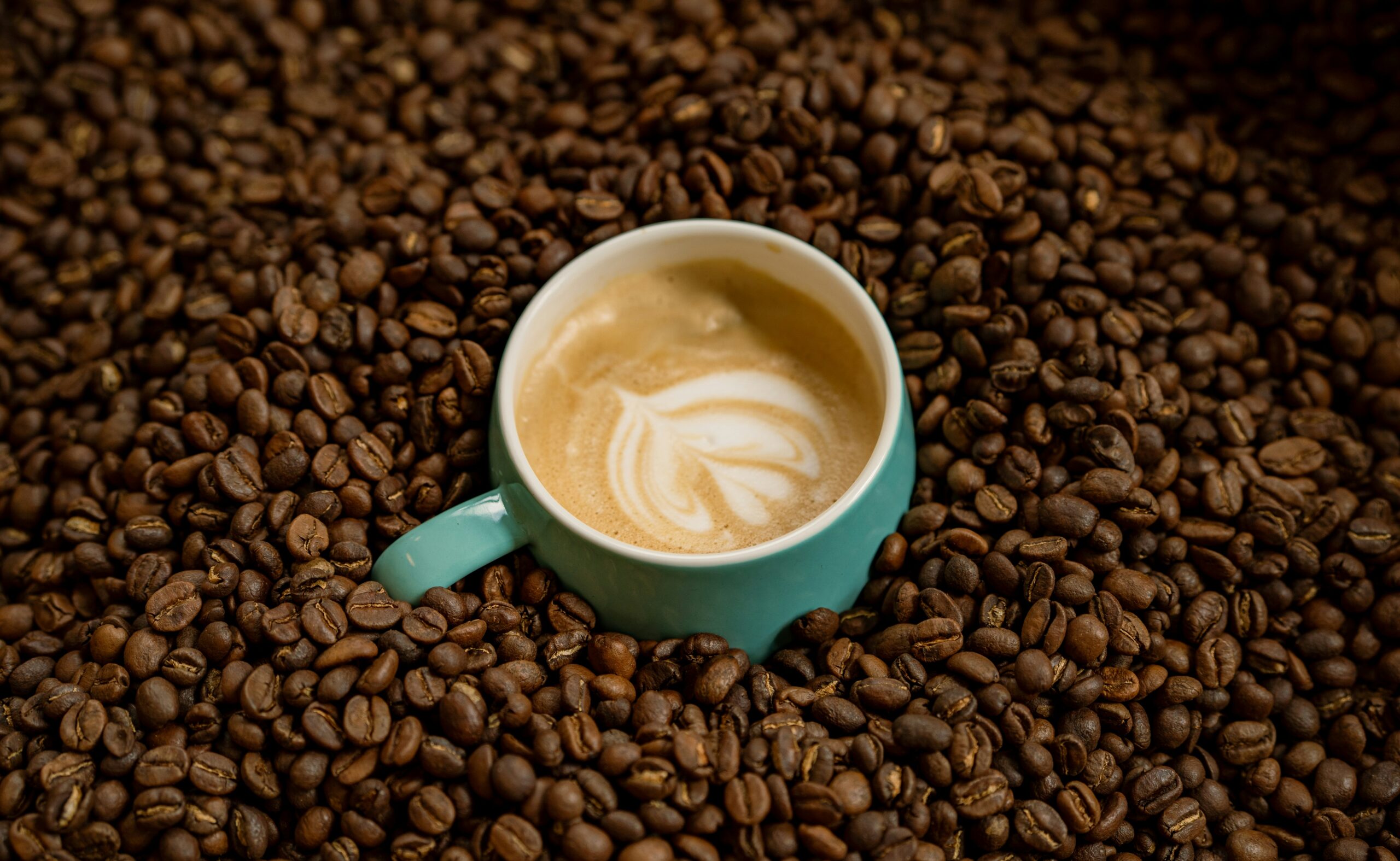 Kenyan Coffee & Tea Tours: Best Plantations Near Nairobi