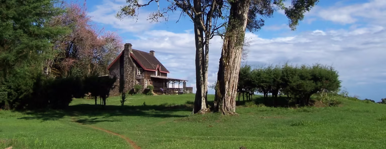 Castle Forest Lodge Mount Kenya