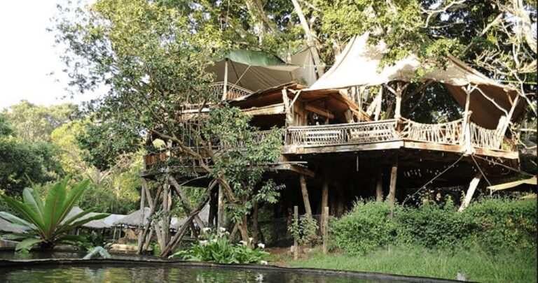 Trout Tree Restaurant