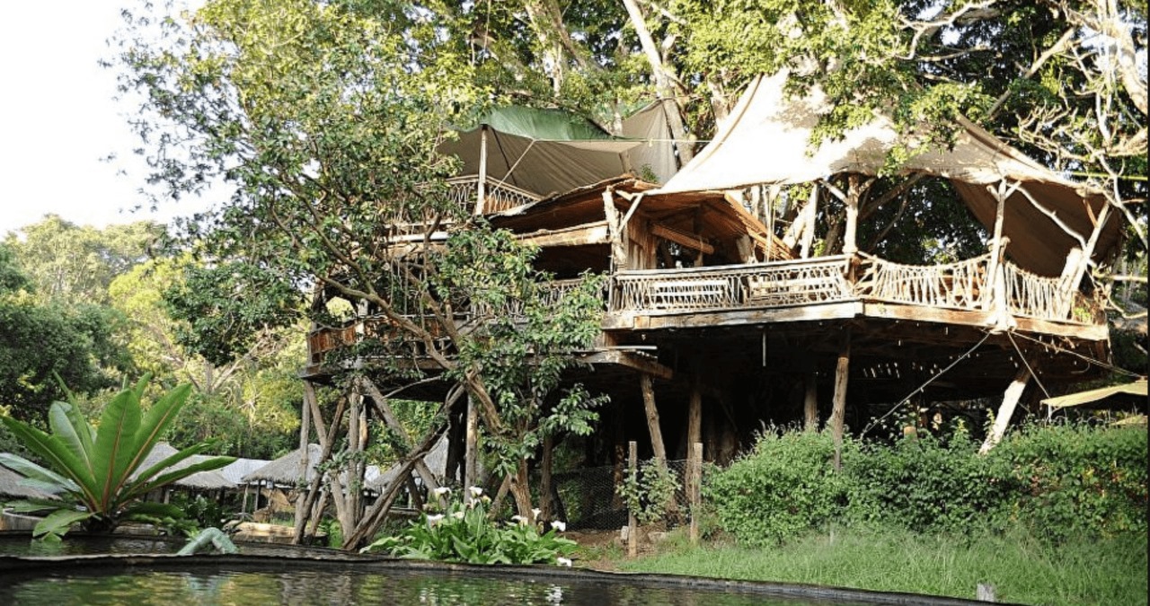 Trout Tree Restaurant