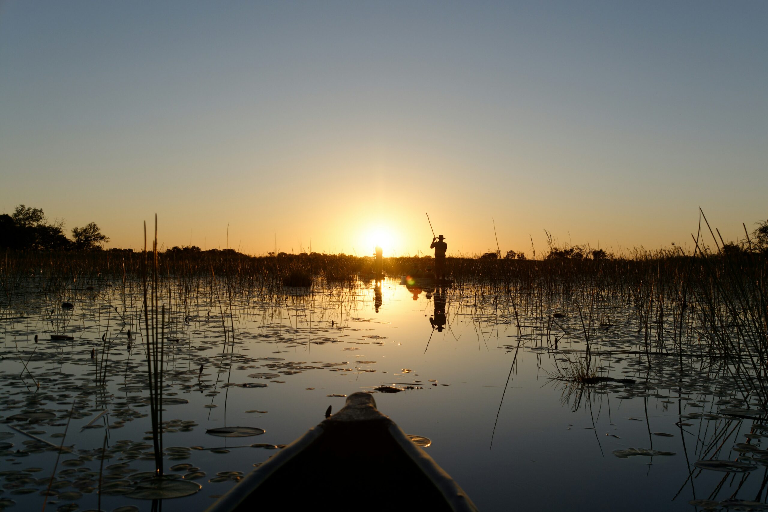 The Okavango Delta