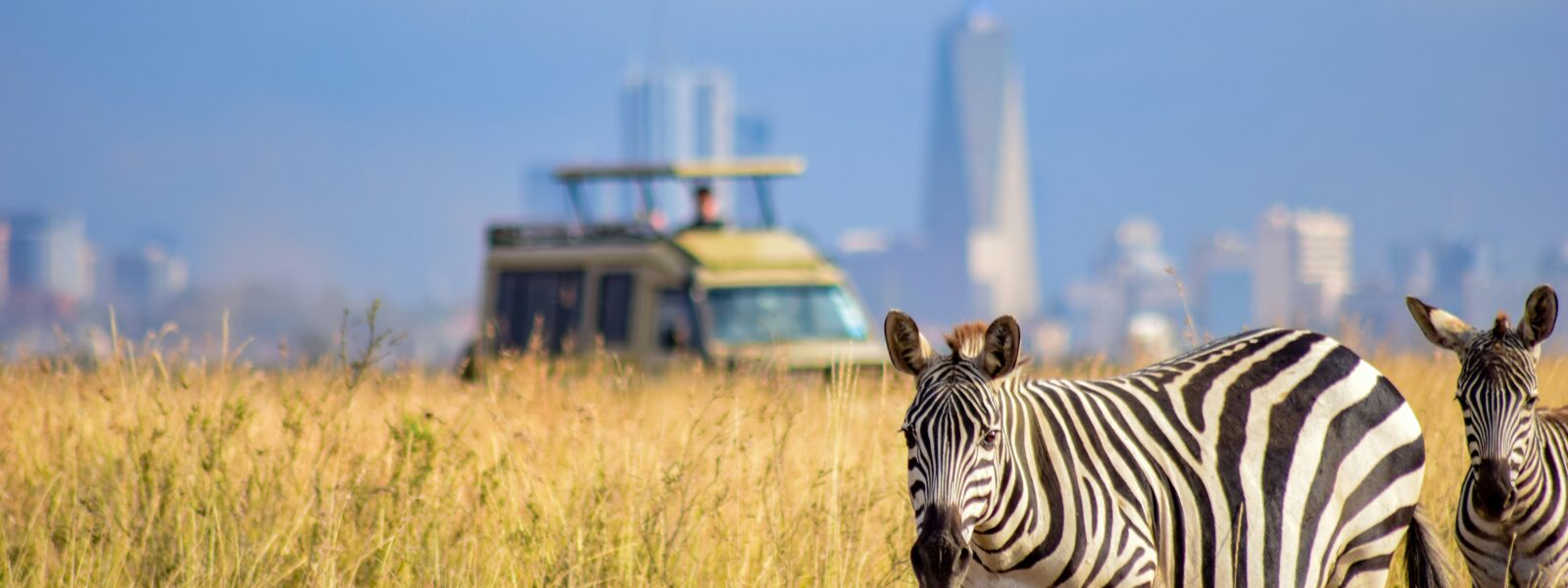 Zebra's spotted on a Nairobi National Park Safari