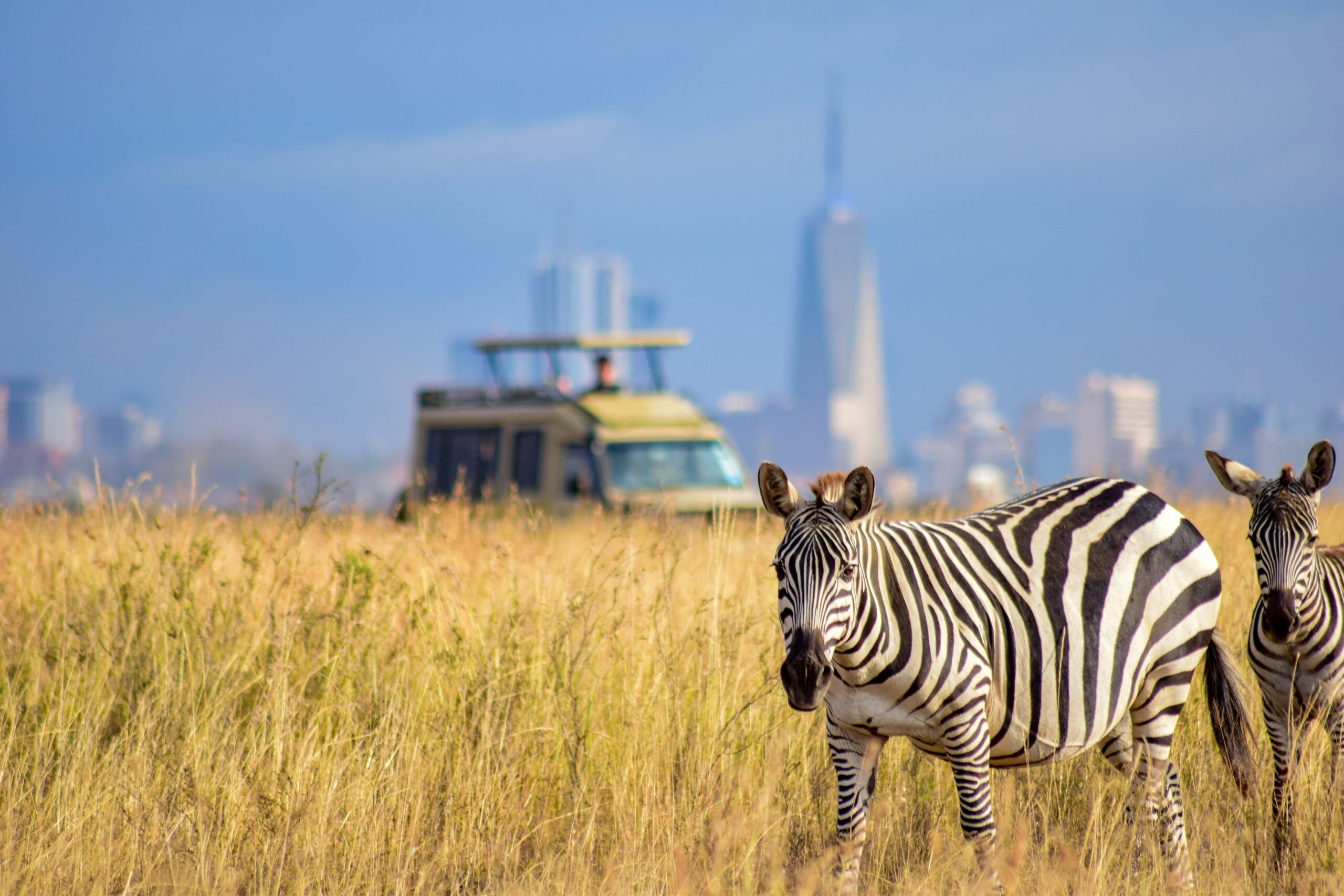 The Ultimate Guide to Nairobi National Park Safari: Where the Wild Savannah meets the City Skyline