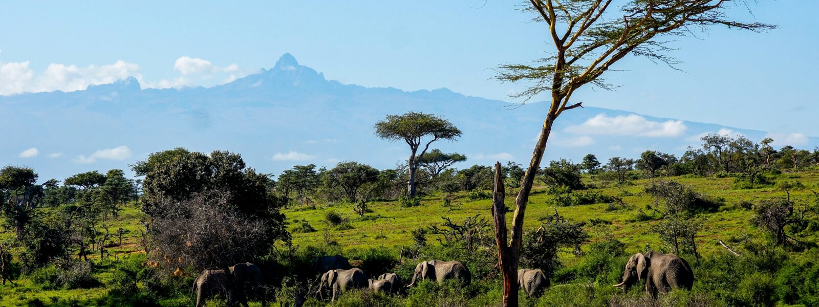 Laikipia Plateau, Kenya – vast savannah with Mount Kenya backdrop