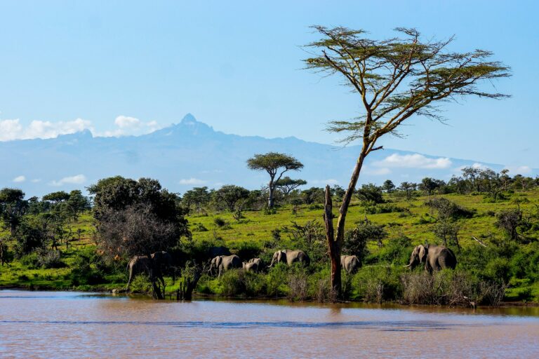 Laikipia Plateau: Kenya’s Underrated Safari Gem