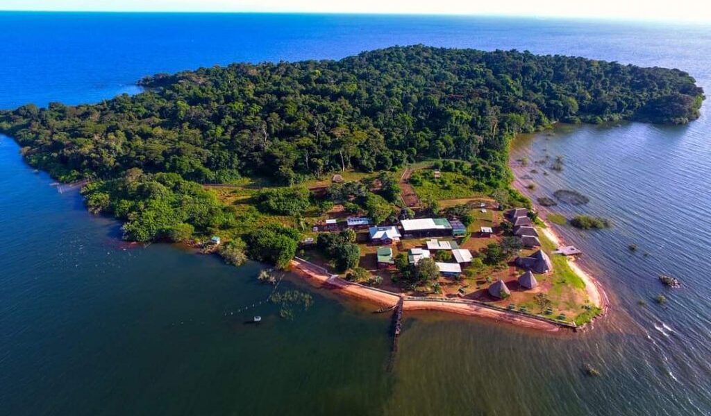 Ngamba Island Chimpanzee Sanctuary, Uganda