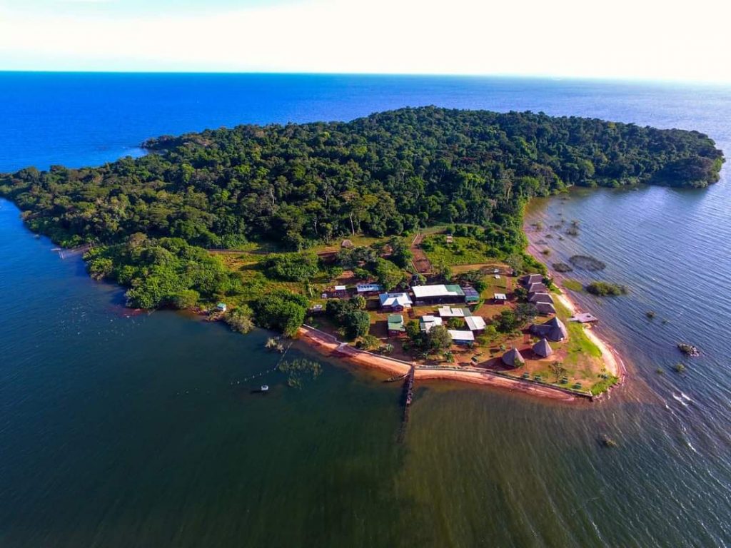 Ngamba Island Chimpanzee Sanctuary