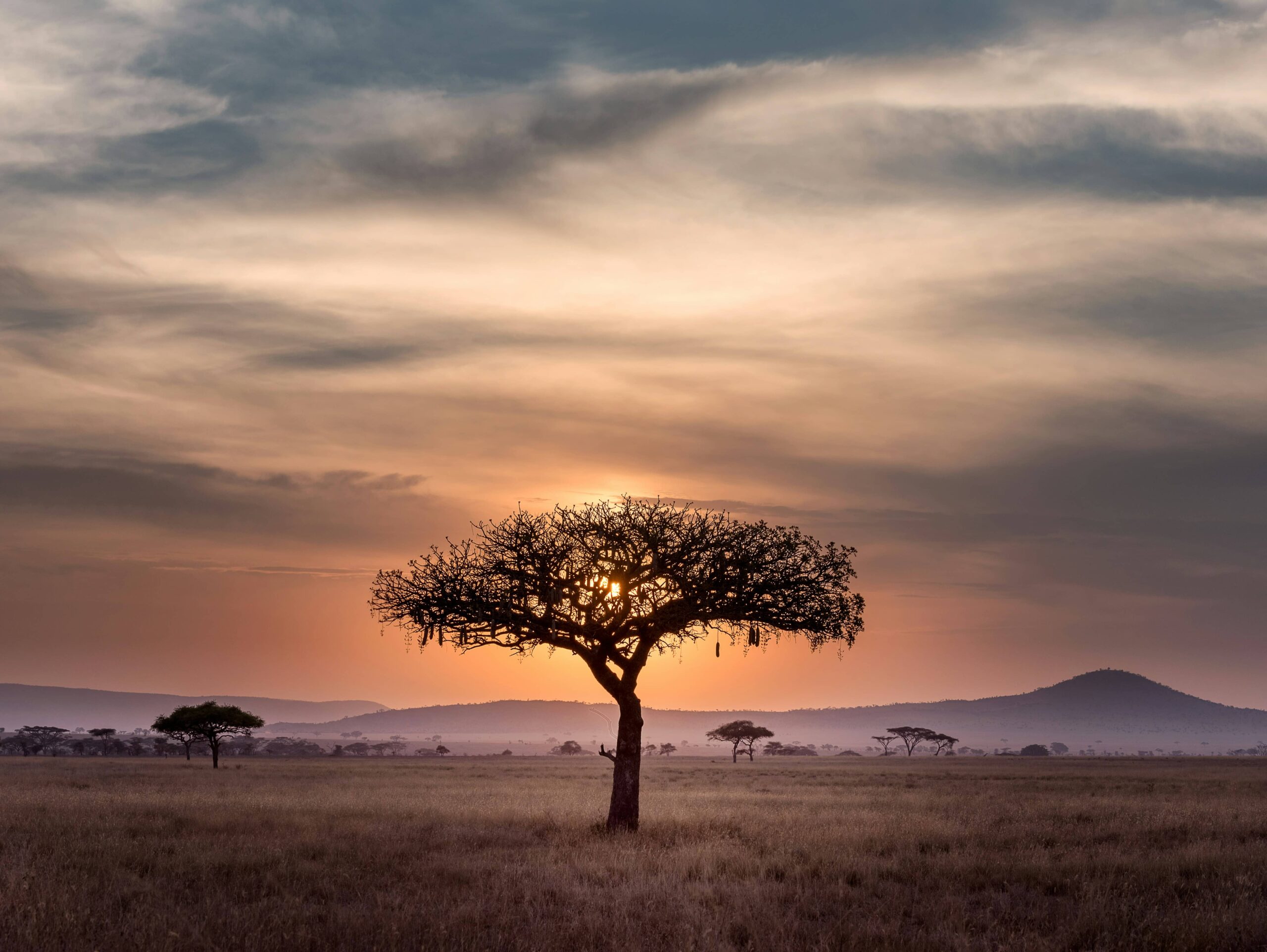 Serengeti National Park Tanzania