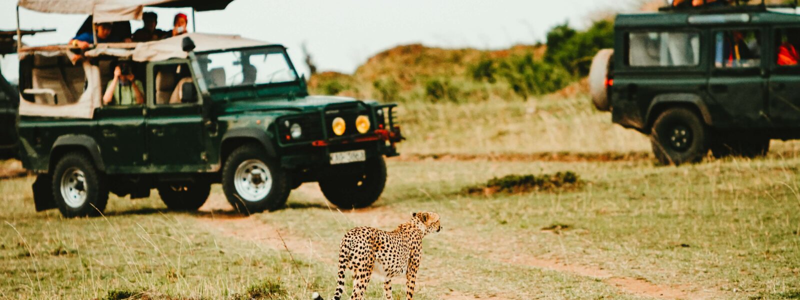 Happy family on a child-friendly Masai Mara safari game drive