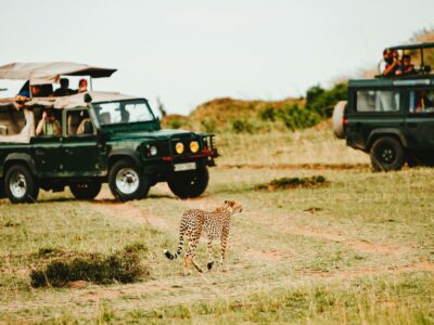 lee-bernd-WphpOsnJ96U-unsplash (1) Happy family on a child-friendly Masai Mara safari game drive
