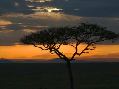 catherine-merlin-Q4QXdCCbVzI-unsplash safari in kenya -Sweeping panoramic view of the Masai Mara savanna at golden hour in Kenya
