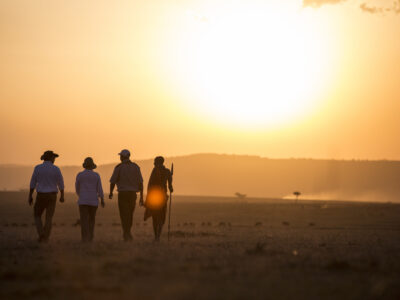 guided walking safari in masai mara - mara north conservancy