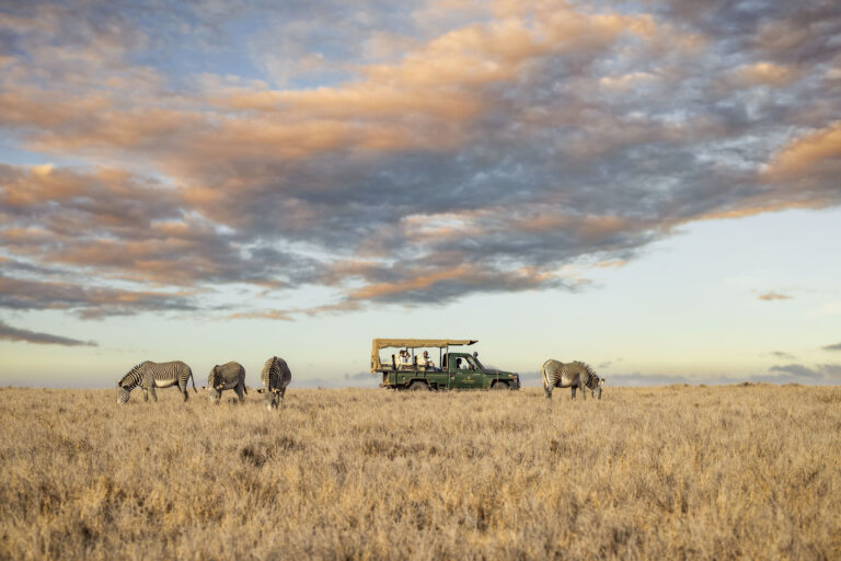 8-Day Luxury Flying Safari in Kenya – Lewa, Loisaba & Masai Mara