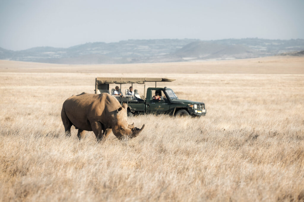 rhino tracking on safari - flying luxury safari at Elewana