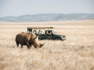 rhino tracking on safari - flying luxury safari at Elewana
