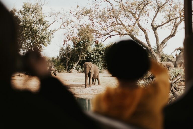 Educational Safari Activities for Kids: Fun & Learning Adventures in the African Wild