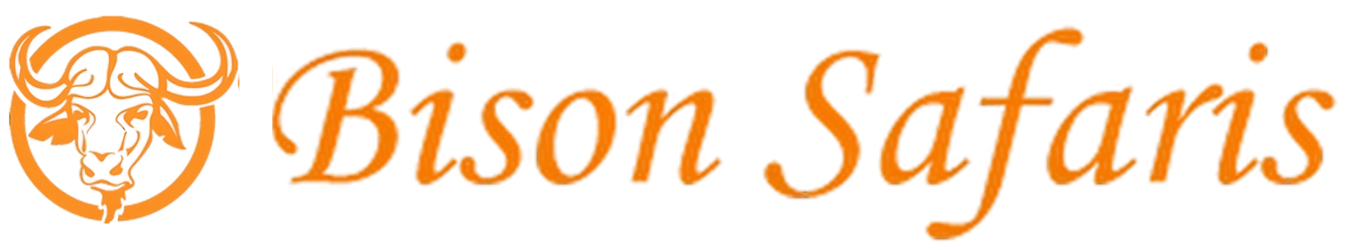 Bison Safaris