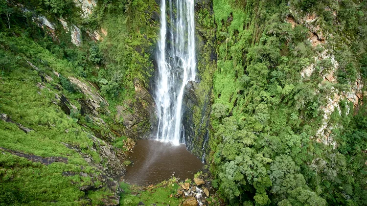 A Complete Guide to Loita Hills, Kenya: The Last Indigenous Forest
