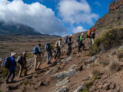 Mount Kilimanjaro Day Trek Safari