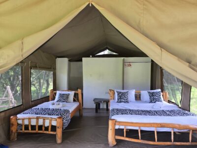 Tented accommodation at Wildnest Camp - Masai Mara Kenya Safari