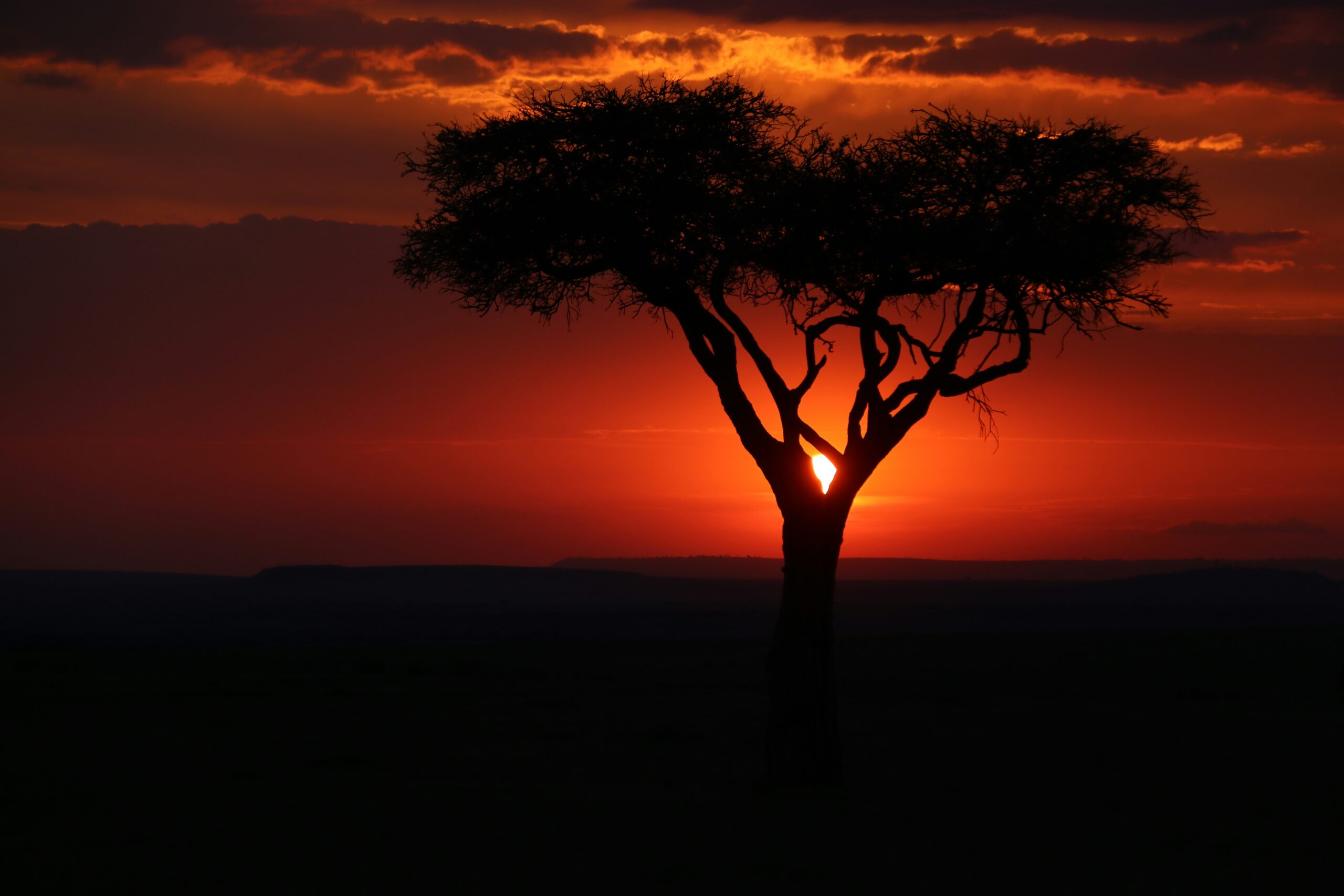 safari - cheap safari kenya - Affordable shoulder season safari Kenya landscapes at sunset.