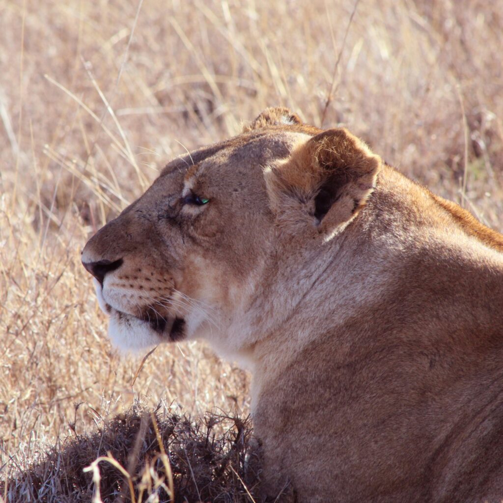 Laikipia photo 3