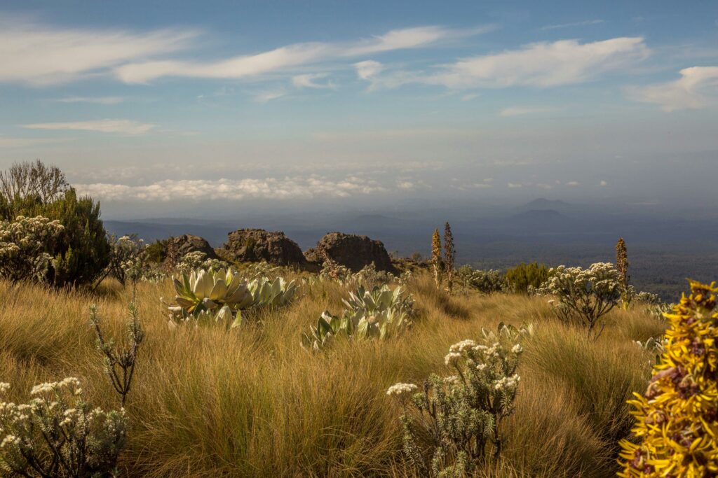 Mount Kenya Trekking photo 6