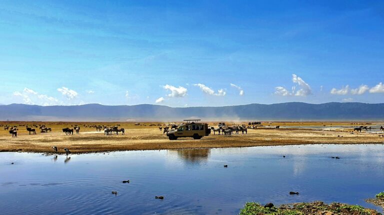 Ngorongoro Conservation Area 