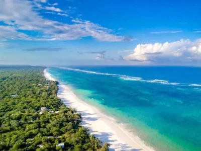 A broad perspective over the bright blue water of the Indian Ocean, with further view of white sandy Diani beach and the lush green of the palms.