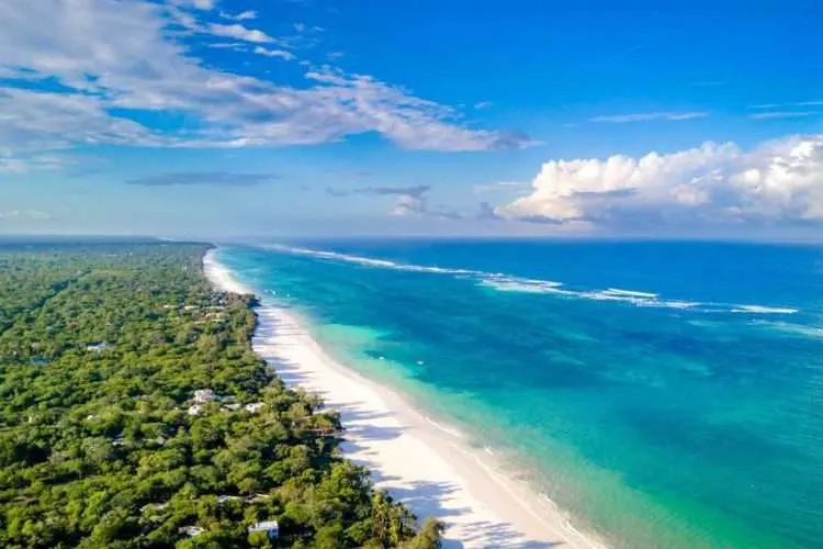 A broad perspective over the bright blue water of the Indian Ocean, with further view of white sandy Diani beach and the lush green of the palms.