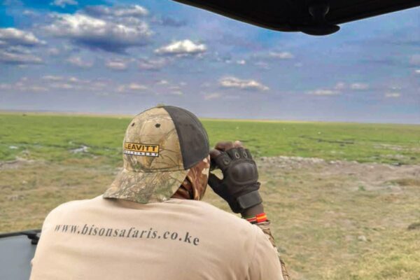 Safari Guide Skills: How Guides Read the African Bush Like a Book