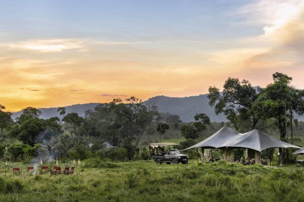 Masai Mara Private Conservancy vs National Reserve: 5 Key Differences For The Perfect Safari