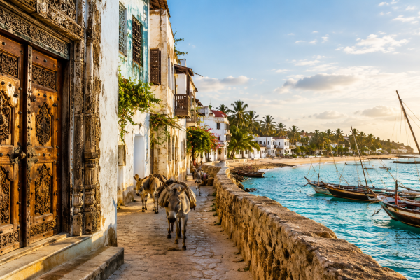 Lamu Island on a Budget: The Ultimate Affordable Travel Guide (2026)