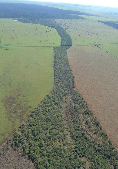 wildlife corridors 