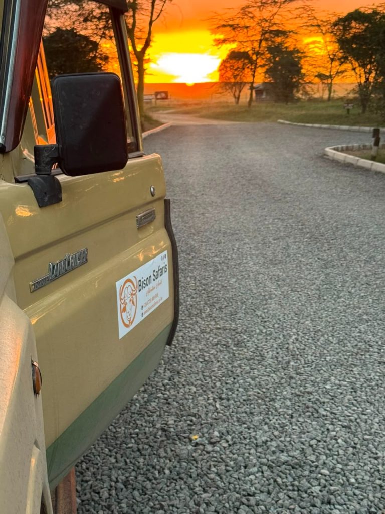 What Is a Safari Really Like? The Ultimate First-Time Traveler’s Guide to the African Bush