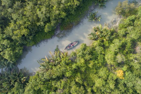 The Sundarbans Mangrove Forest: Why This Incredible Wilderness Is Worth Protecting