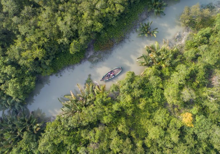 The Sundarbans Mangrove Forest: Why This Incredible Wilderness Is Worth Protecting