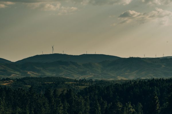 Incredible Things to Do at Ngong Hills: Kenya’s Scenic Hiking Paradise