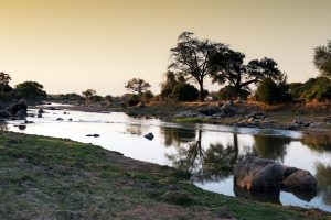 The Great Ruaha River in Ruaha National Park