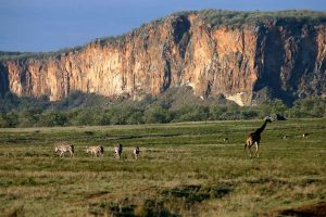 Rock climbing in Kenya with wildlife sighting